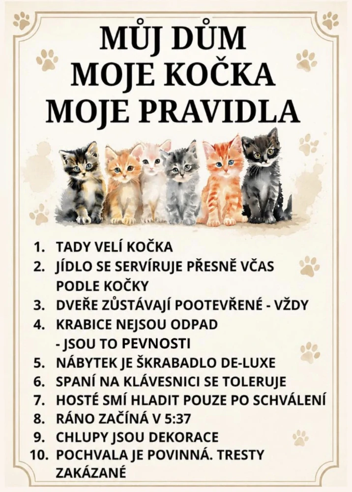 Cedulka - KOČIČÍ PRAVIDLA