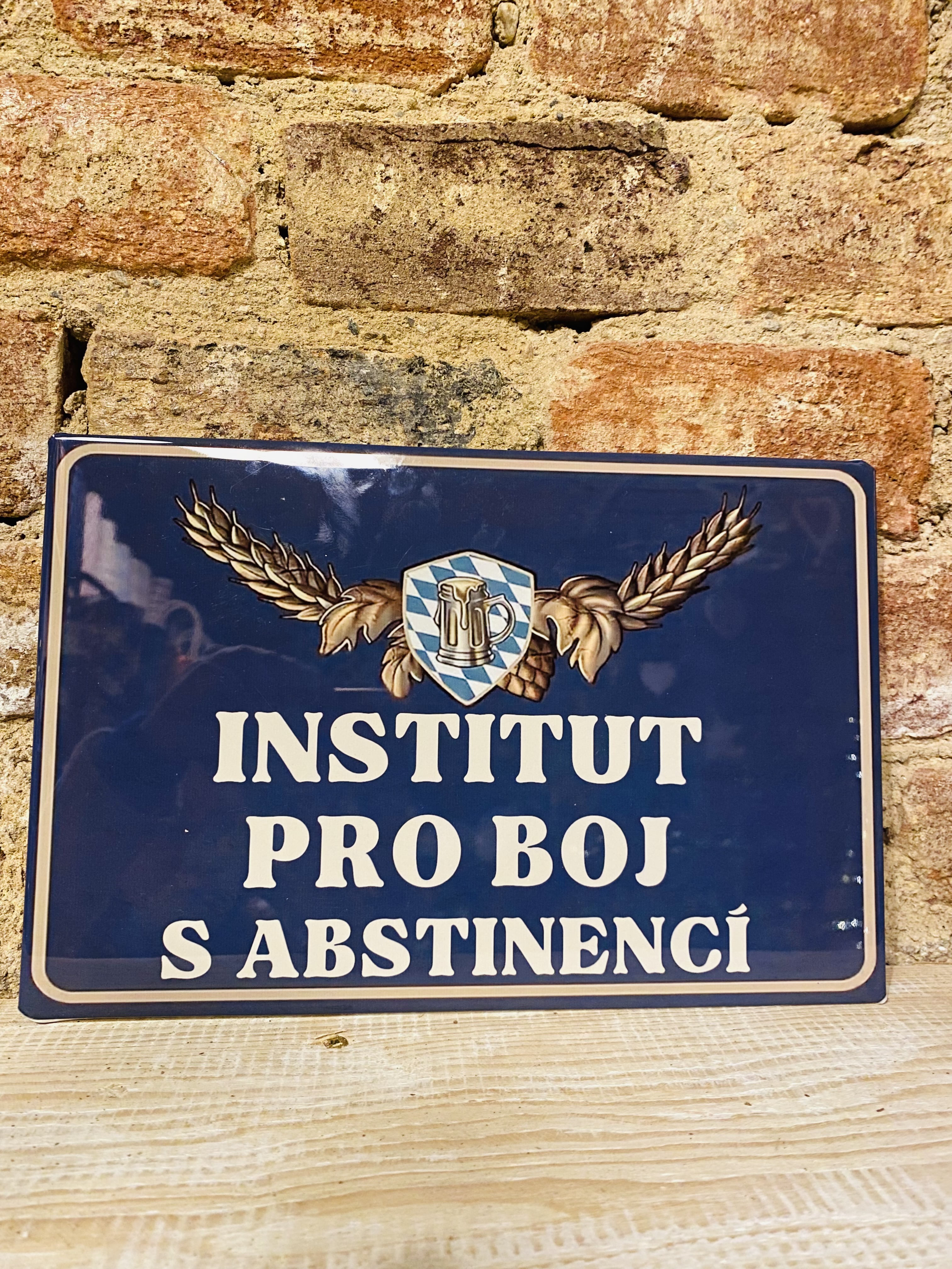 Plechová cedulka - “Institut” 