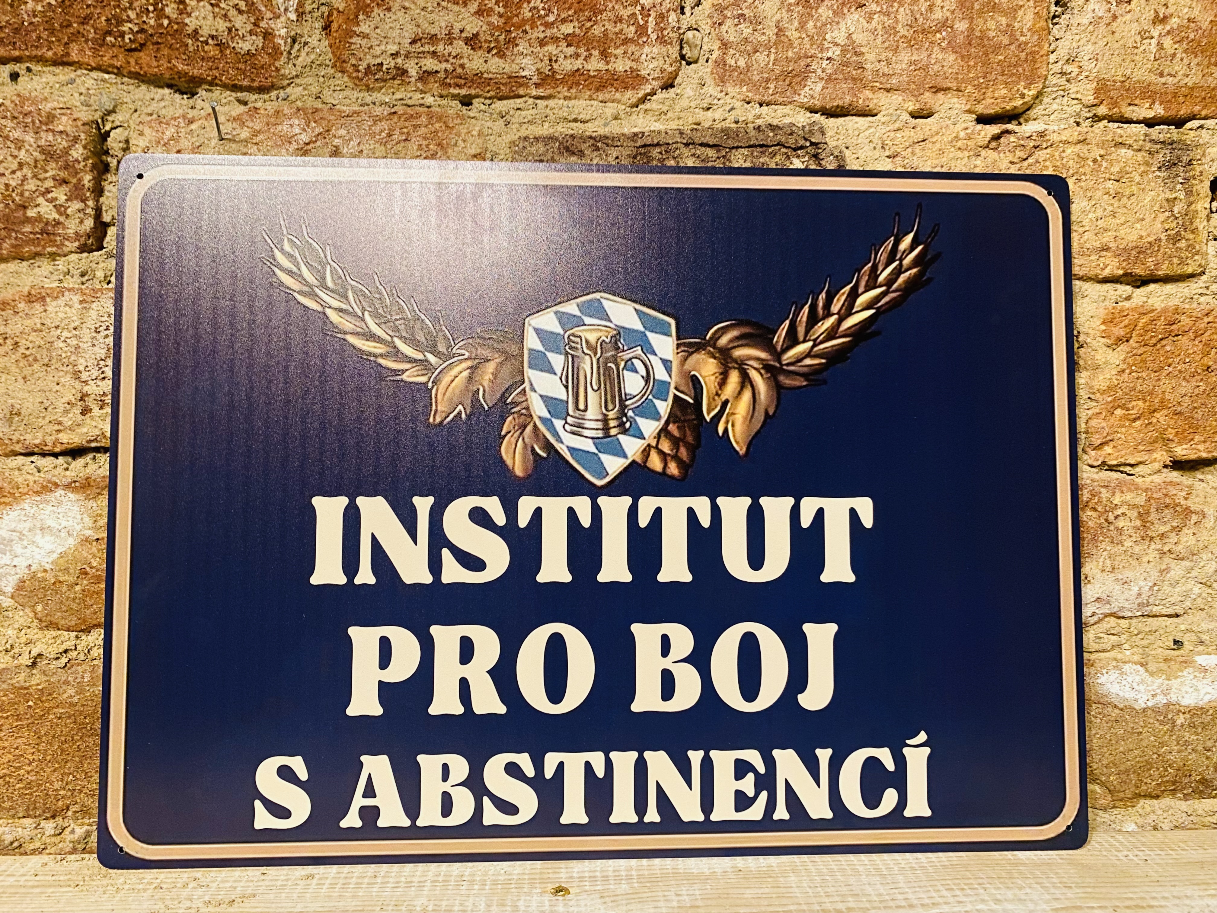 Cedule “Institut” velká 