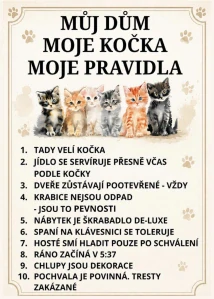 Cedulka - KOČIČÍ PRAVIDLA