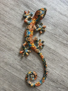 Ještěrka menší (33 cm)