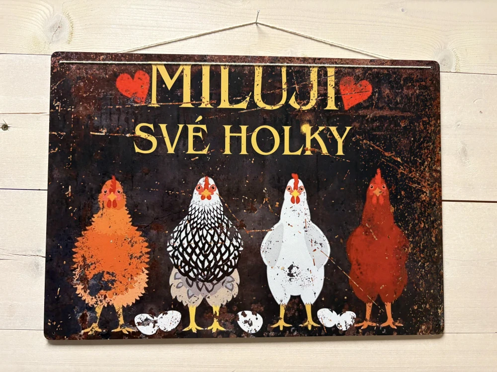 Cedule MILUJI SVÉ HOLKY 40x28,5 cm