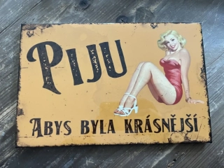 Plechová cedule Piju abys…28,5x18,5cm