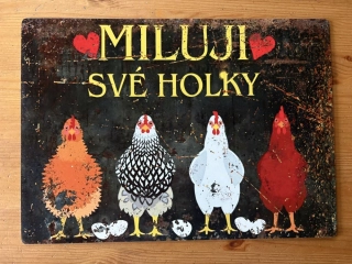 Cedule MILUJI SVÉ HOLKY 28,5x20 cm (DIBOND)
