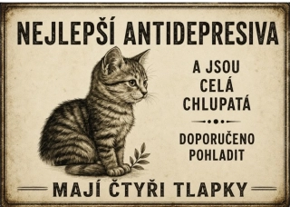Cedulka - Kočičí antidepresiva