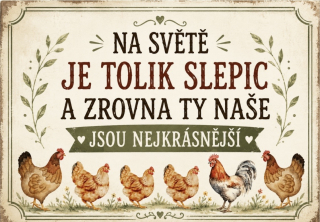 Plechová cedulka - Na světe je tolik slepic