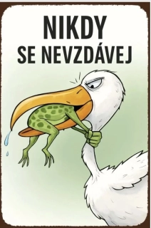 Cedulka - NIKDY SE NEVZDÁVEJ
