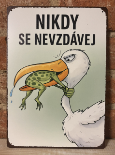 Cedulka - NIKDY SE NEVZDÁVEJ