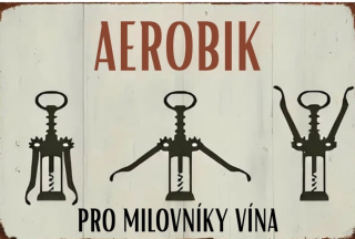 Cedulka - AEROBIK 