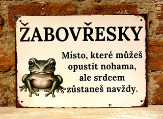 Cedulka Žabovřesky - ocel