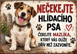 Cedule - NEČEKEJ HLÍDACÍHO PSA....